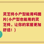 灵芝椅小户型能用吗图片(小户型也能用的灵芝椅，让你的家居更加舒适！)