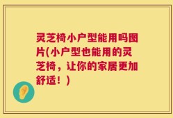 灵芝椅小户型能用吗图片(小户型也能用的灵芝椅，让你的家居更加舒适！)