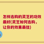怎样选购的灵芝的功效最好(灵芝如何选购，让你的效果最佳)
