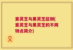 紫灵芝与黑灵芝区别(紫灵芝与黑灵芝的不同特点简介)
