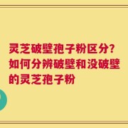 灵芝破壁孢子粉区分？如何分辨破壁和没破壁的灵芝孢子粉
