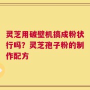 灵芝用破壁机搞成粉状行吗？灵芝孢子粉的制作配方