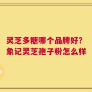 灵芝多糖哪个品牌好？象记灵芝孢子粉怎么样