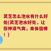 灵芝怎么泡水有什么好处(灵芝泡水好处，让你神清气爽，身体倍棒！)