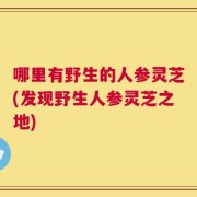 哪里有野生的人参灵芝(发现野生人参灵芝之地)