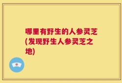 哪里有野生的人参灵芝(发现野生人参灵芝之地)