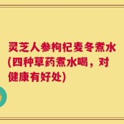 灵芝人参枸杞麦冬煮水(四种草药煮水喝，对健康有好处)