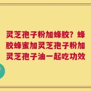 灵芝孢子粉加蜂胶？蜂胶蜂蜜加灵芝孢子粉加灵芝孢子油一起吃功效