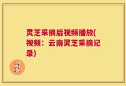 灵芝采摘后视频播放(视频：云南灵芝采摘记录)