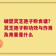 破壁灵芝孢子粉食谱？灵芝孢子粉功效与作用及用量是什么