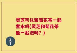 灵芝可以和菊花茶一起煮水吗(灵芝和菊花茶能一起泡吗？)
