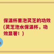保温杯里泡灵芝的功效(灵芝泡水保温杯，功效显著！)