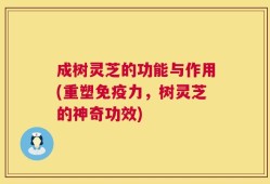 成树灵芝的功能与作用(重塑免疫力，树灵芝的神奇功效)