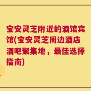 宝安灵芝附近的酒馆宾馆(宝安灵芝周边酒店酒吧聚集地，最佳选择指南)