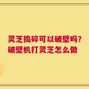 灵芝捣碎可以破壁吗？破壁机打灵芝怎么做