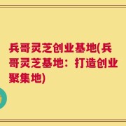 兵哥灵芝创业基地(兵哥灵芝基地：打造创业聚集地)