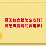 灵芝和鹿茸怎么吃好(灵芝与鹿茸的食用法)