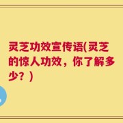 灵芝功效宣传语(灵芝的惊人功效，你了解多少？)
