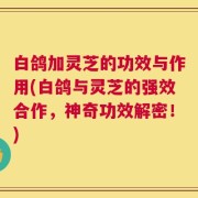 白鸽加灵芝的功效与作用(白鸽与灵芝的强效合作，神奇功效解密！)