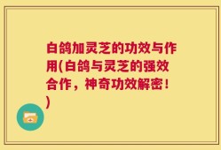 白鸽加灵芝的功效与作用(白鸽与灵芝的强效合作，神奇功效解密！)