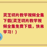 灵芝切片教学视频全集下载(灵芝切片教学视频全集免费下载，快来学习！)