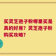 买灵芝孢子粉哪里买是真的好用？灵芝孢子粉购买攻略？