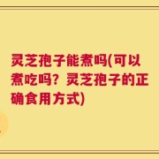 灵芝孢子能煮吗(可以煮吃吗？灵芝孢子的正确食用方式)