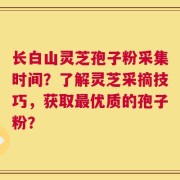 长白山灵芝孢子粉采集时间？了解灵芝采摘技巧，获取最优质的孢子粉？