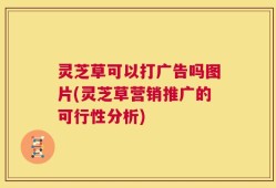 灵芝草可以打广告吗图片(灵芝草营销推广的可行性分析)