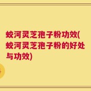 蛟河灵芝孢子粉功效(蛟河灵芝孢子粉的好处与功效)