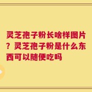 灵芝孢子粉长啥样图片？灵芝孢子粉是什么东西可以随便吃吗