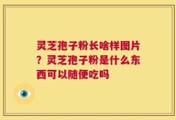 灵芝孢子粉长啥样图片？灵芝孢子粉是什么东西可以随便吃吗