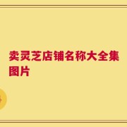 卖灵芝店铺名称大全集图片