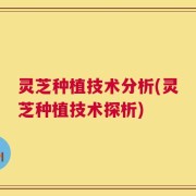 灵芝种植技术分析(灵芝种植技术探析)