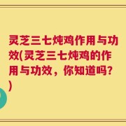 灵芝三七炖鸡作用与功效(灵芝三七炖鸡的作用与功效，你知道吗？)