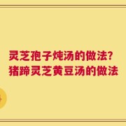 灵芝孢子炖汤的做法？猪蹄灵芝黄豆汤的做法