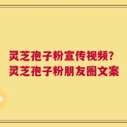 灵芝孢子粉宣传视频？灵芝孢子粉朋友圈文案