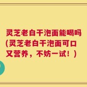 灵芝老白干泡面能喝吗(灵芝老白干泡面可口又营养，不妨一试！)