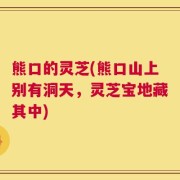 熊口的灵芝(熊口山上别有洞天，灵芝宝地藏其中)