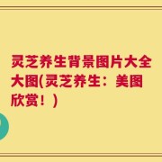 灵芝养生背景图片大全大图(灵芝养生：美图欣赏！)