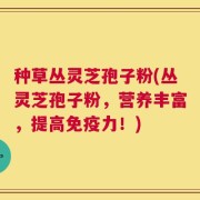 种草丛灵芝孢子粉(丛灵芝孢子粉，营养丰富，提高免疫力！)