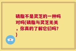 磷脂不是灵芝的一种吗对吗(磷脂与灵芝无关，你真的了解它们吗？)
