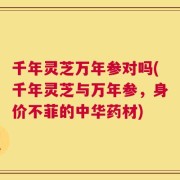 千年灵芝万年参对吗(千年灵芝与万年参，身价不菲的中华药材)