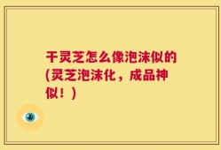 干灵芝怎么像泡沫似的(灵芝泡沫化，成品神似！)