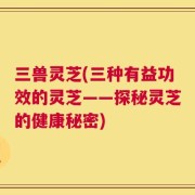 三兽灵芝(三种有益功效的灵芝——探秘灵芝的健康秘密)