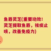 鱼唇灵芝(重要功效！灵芝提取鱼唇，祛痰止咳，改善免疫力)