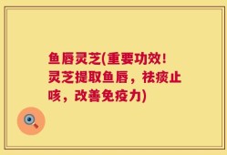 鱼唇灵芝(重要功效！灵芝提取鱼唇，祛痰止咳，改善免疫力)