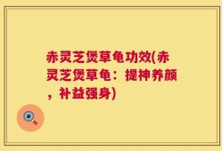 赤灵芝煲草龟功效(赤灵芝煲草龟：提神养颜，补益强身)