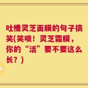 吐槽灵芝面膜的句子搞笑(笑喷！灵芝霜膜，你的“活”要不要这么长？)