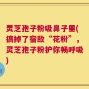 灵芝孢子粉吸鼻子里(搞掉了宿敌“花粉”，灵芝孢子粉护你畅呼吸)